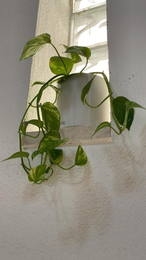 Locanda Le Ginestre Cantalupo in Sabina 외부 사진